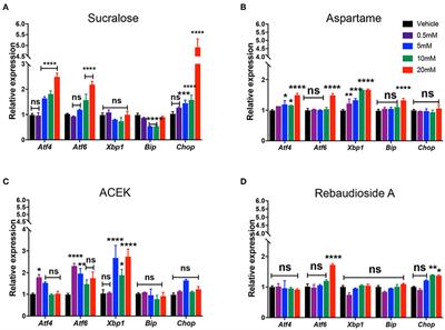Non-nutritive Sweeteners Induce Hypothalamic ER Stress Causing Abnormal Axon Outgrowth